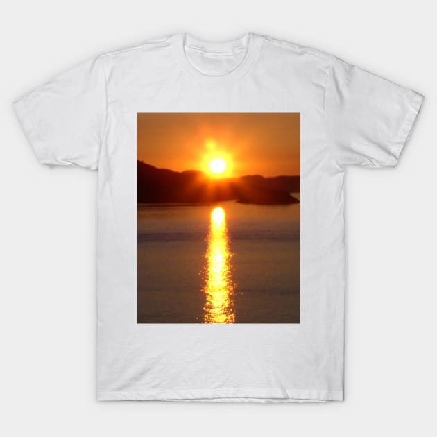 Alaska sunset T-Shirt by WelshDesigns